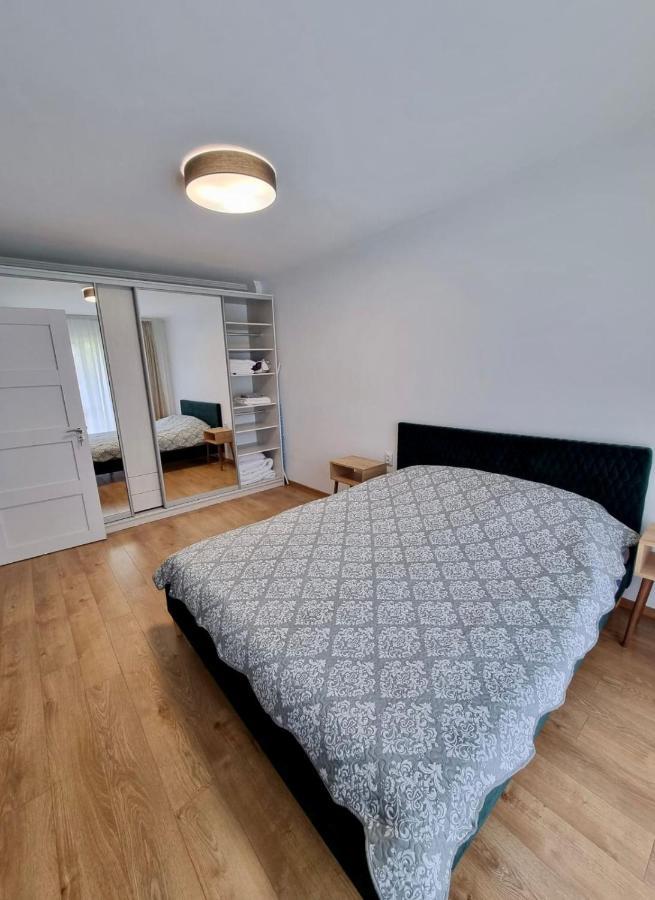 Lily Central Apartment With Free Parking Târgu-Mureş المظهر الخارجي الصورة